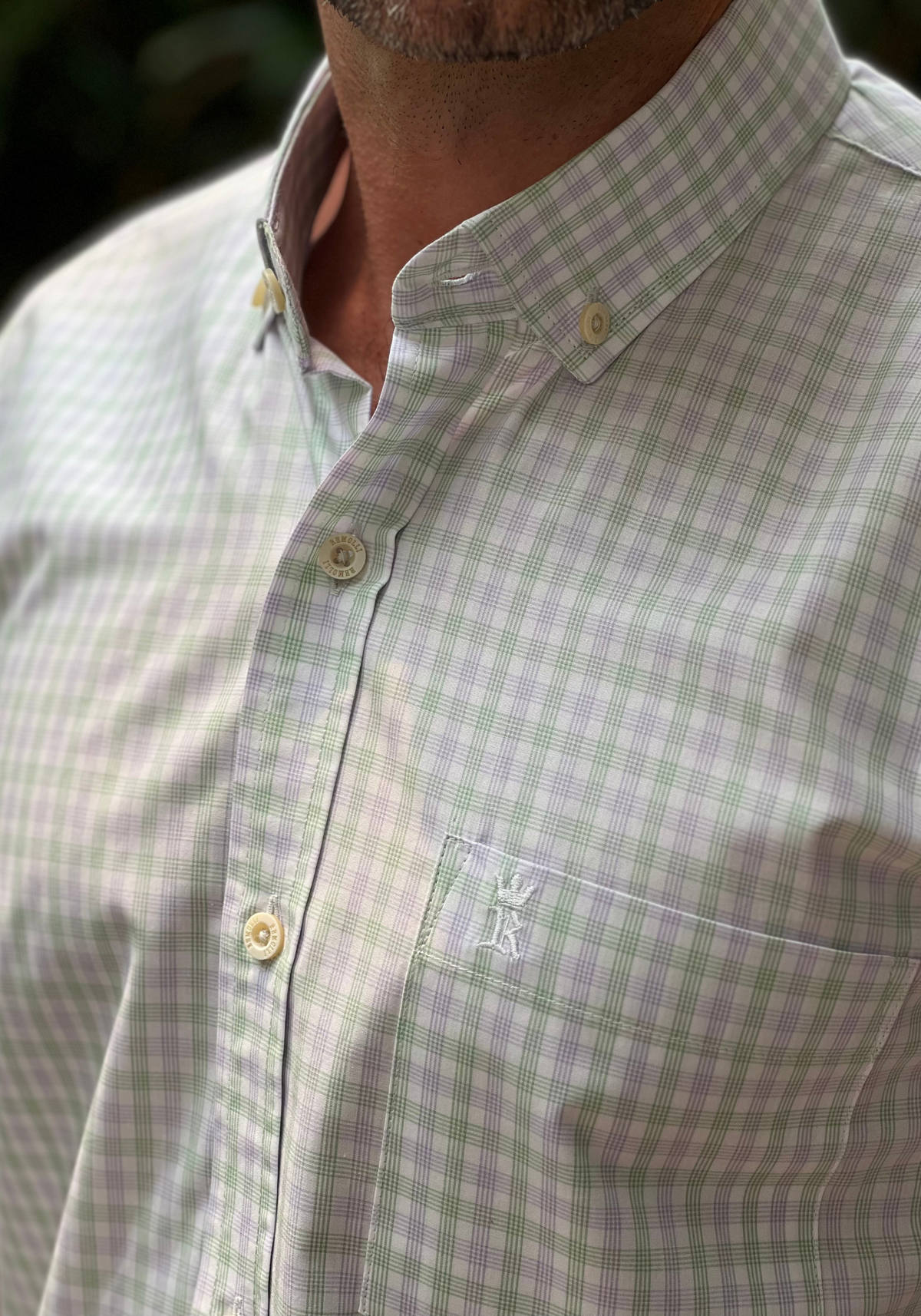 CAMISA TRAD. ALG EGÍPCIO M/C BUTTON DOWN